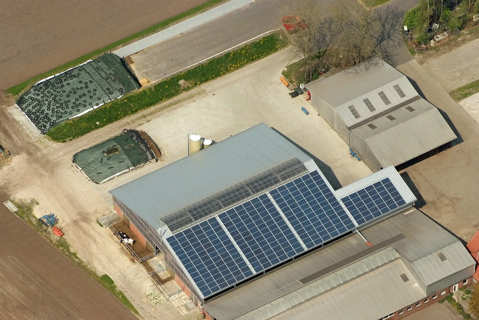 Photovoltaik in der Landwirtschaft: Stall, Trocknung, Kühlung und Beregnung im Vergleich