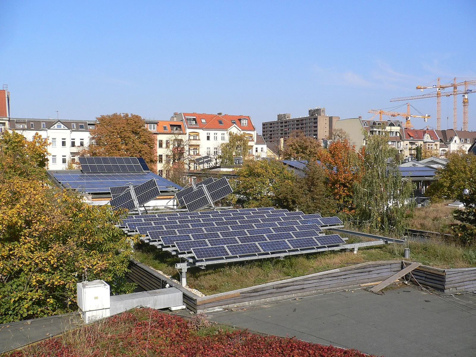 Aufgeständerte Photovoltaikmodule in geneigten Reihen auf einem Flachdach mit Pflanzen, dahinter Wohnhäuser.