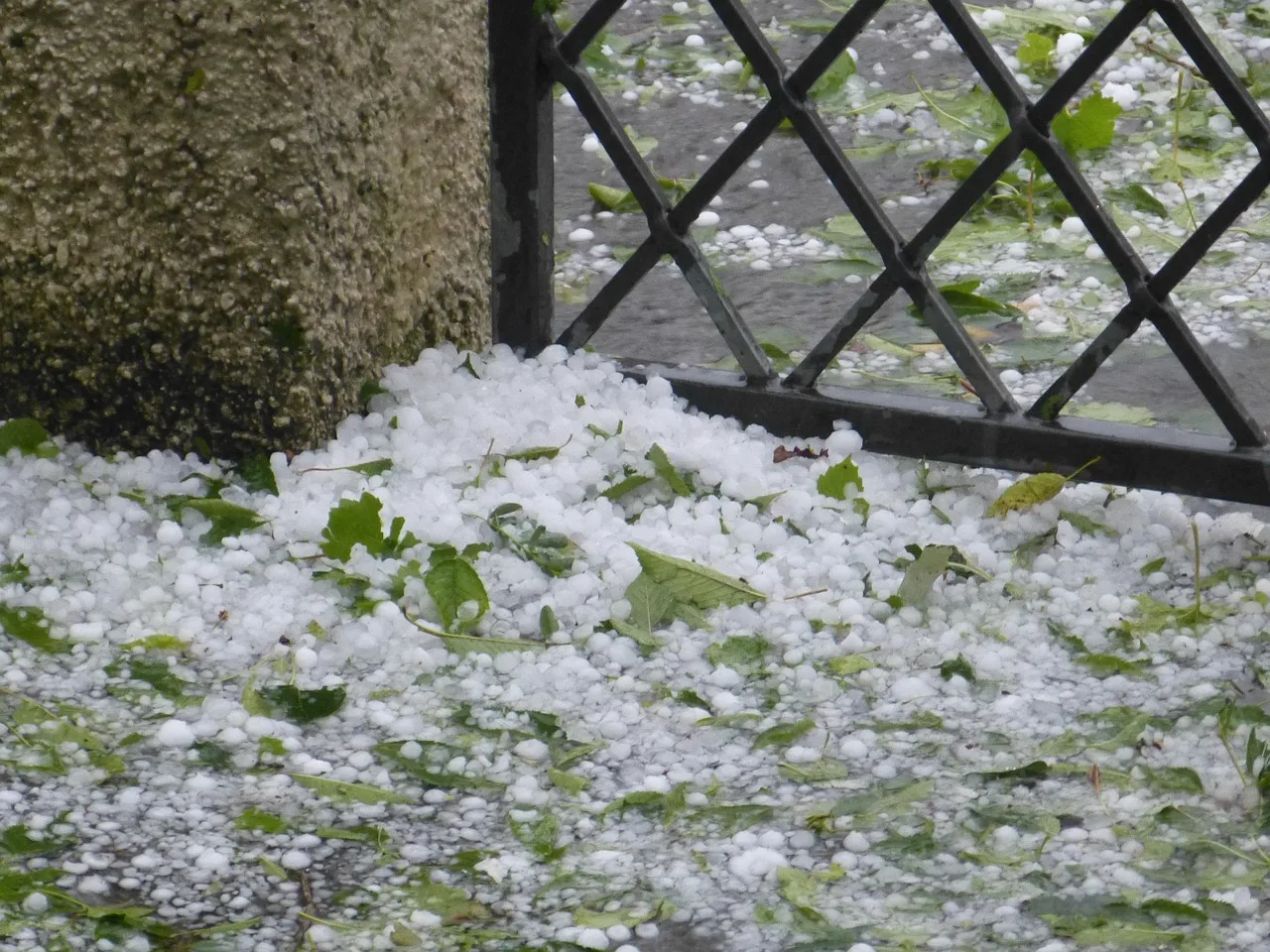 Eine dichte Schicht erbsen- bis kirschgrosser Hagelkoerner liegt nach einem Unwetter auf dem Boden vor einem gemauerten Pfeiler und einem schmiedeeisernen Gittertor, dazwischen abgeschlagene gruene Blaetter.